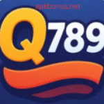 Q789 game