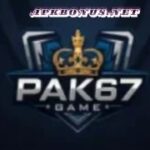 pak67 game